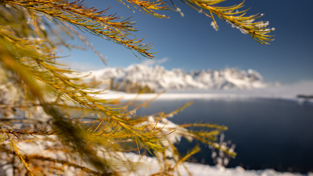 Ellmau_Landschaft_Herbst2021_EA_3305_-3_hp.jpg